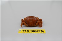 藏品(絨毛近方蟹)的圖片